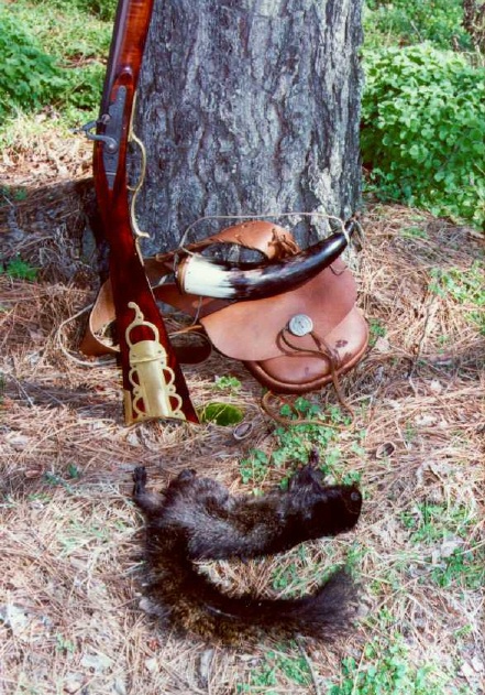 Black Squirrel - Mississippi Delta