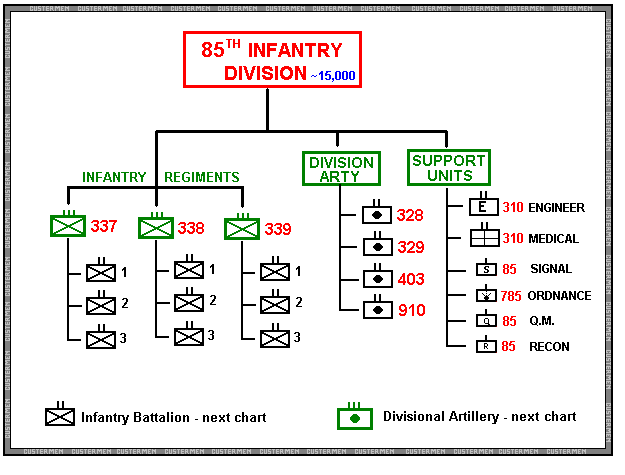 Org Chart for 85th Division